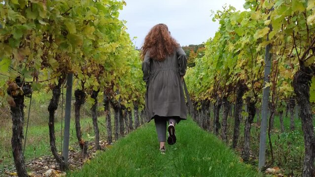 Portrait of a beautiful, stylish hipster woman walking between vines and enjoying nature. Female freedom, outdoor adventures, autumn vineyard landscape, fresh air, recreation of modern people. 4K