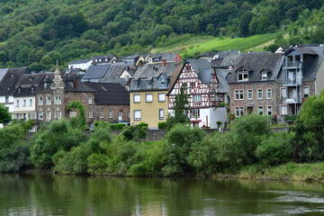 Fototapeta na wymiar Moselle valley; Germany- august 11 2021 : valley of vineyard