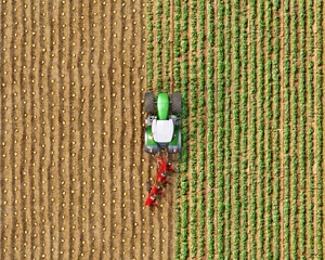 Fotobehang Top view on a tractor with a plow among the field, potato seeding process, tractor divides the field on different parts, 3d illustration © vipman4
