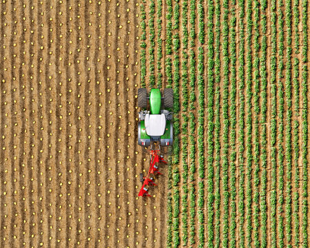 Top view on a tractor with a plow among the field, potato seeding process, tractor divides the field on different parts, 3d illustration