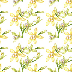 44_vanilla botanical illustration of vanilla orchid

realistic drawing, sweet fragrant fresh vanilla flower set close-up on white background, buds, branch, liana, foreground, seamless pattern