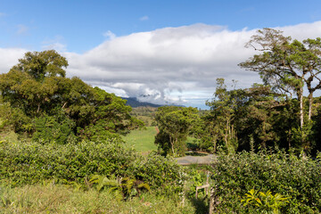 Fototapeta na wymiar View over the rainforest with field, mountain and the cloud sky in Costa Rica