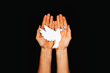 Male hands with paper dove on black background. Pace in Ukraine, symbol for end of the Conflict in...