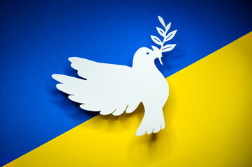 White dove as symbol of peace on ukraine flag. Pace in Ukraine, symbol for end of the Conflict in Europe between Russia and Ukraine