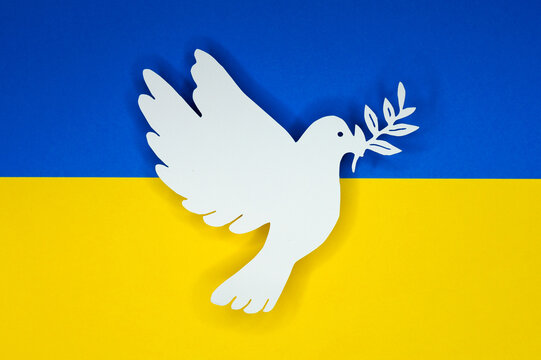White dove as symbol of peace on ukraine flag. Pace in Ukraine, symbol for end of the Conflict in Europe between Russia and Ukraine
