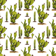 43_Desert Cactus graphic colorful, sketch, vector illustration, drawing of a cactus, side view, seamless pattern