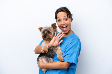 Young veterinarian woman with dog isolated on white background saluting with hand with happy expression - obrazy, fototapety, plakaty