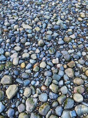 pebbles on the beach