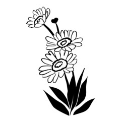 Obraz premium Daisy icon in black and white. Isolated with white background. Vector illustration.