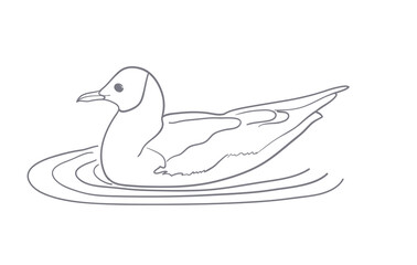 Simple drawing of a seagull
