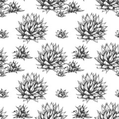 23_blue agave graphic blue agave, main ingredient of tequila, sketch, vector illustration, drawing of agave cactus, side view, seamless pattern