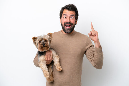 Man holding a yorkshire isolated on white background pointing up a great idea