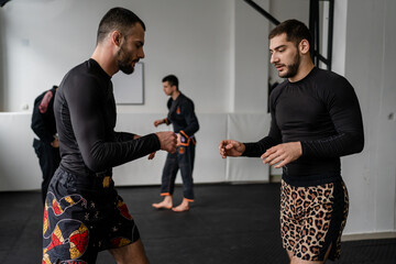 brazilian jiu jitsu bjj grappling or luta livre training starting from stand up fight sparring