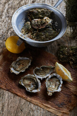 Ostras frescas sobre una mesa de madera rústica, crudas, con vista cenital
Ostras frescas sobre una mesa de madera rústica, crudas, con vista cenital
Ostras frescas sobre una mesa de madera rústica,