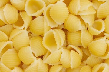 Small cooked shell pasta background