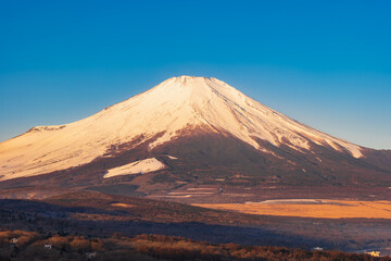 朝焼けに染まる富士山　冬景