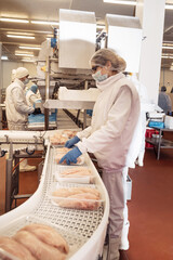 Line for the production of semi-finished meat products.Meat processing in food industry.Packing of meat slices in boxes on a conveyor belt.modern poultry processing plant.