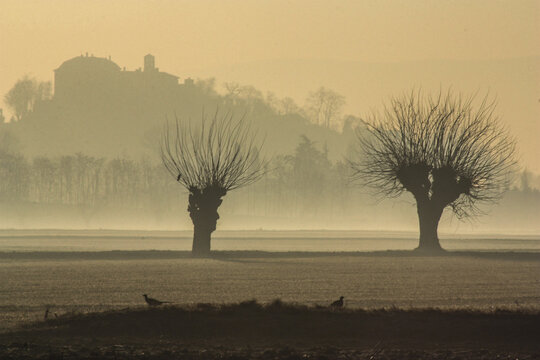 Nebbia mattutina