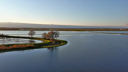 Northern California rice farm. 
