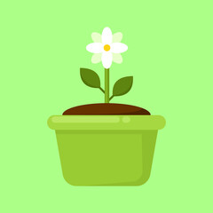 small white flower tree vector