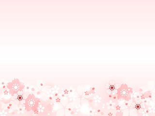 Obraz na płótnie Canvas 桜の花のフレーム背景