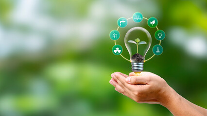 Tree growing on a light bulb in people's hand with renewable energy source icon and sustainable development environmental technology ecology concept