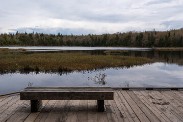 In spring, bench on the edge of the marsh and lake Boivin in the natural park of Mont-Belair, Quebec city.