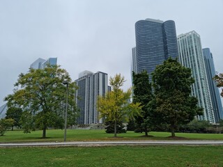 skyscrapers in downtown city