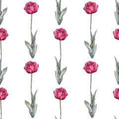 Seamless pattern watercolor red tulip with green leaves isolated on white background. Hand-drawn spring flower for celebration card march 8. Nature art for wallpaper wrapping sketchbook florist