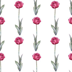 Obraz premium Seamless pattern watercolor red tulip with green leaves isolated on white background. Hand-drawn spring flower for celebration card march 8. Nature art for wallpaper wrapping sketchbook florist