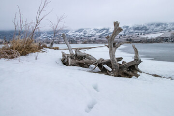 driftwood on a snow covered beach at Osoyoos Lake