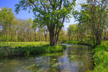 大王わさび農場