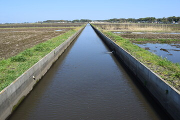 農業用水路兼排水路 茨城県