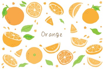 手描きのオレンジのイラスト素材セット