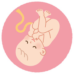お腹の中で眠る赤ちゃん　胎児 - obrazy, fototapety, plakaty