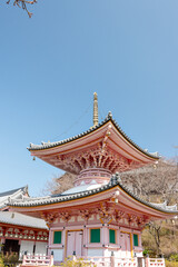 Fototapeta na wymiar Two-storied pagoda of Tsubosaka temple in Nara, Japan