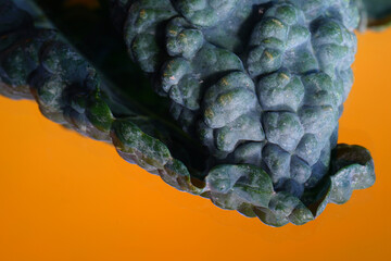 Close-up view of the texture of lacinato kale (dinosaur kale) leaves - obrazy, fototapety, plakaty