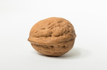 Walnuts are rounded, single-seeded stone fruits of the walnut tree.