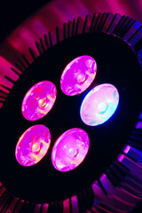 Vertical close-up view of the pink led lamp for plant growing. Abstract technologies backgrounds