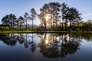 reflection of trees in water