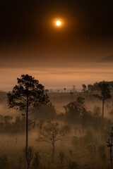 Fototapeta na wymiar Landscape background in misty scenery, Thung Salaeng Luang, Phetchabun province in Thailand.