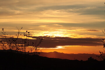 Bright red flaming sunset and sun on the background of trees