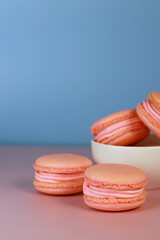 macaroons with pink buttercream in white bowl, blue background with copy space 
