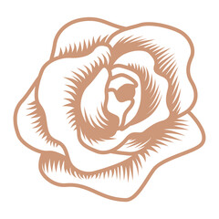 Rose flower line art icon - vintage style