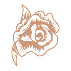 Rose flower line art icon - vintage style