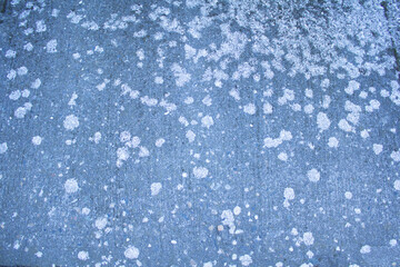 Old Sidewalk Spotted with Lichen