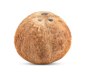 Coconut isolated on a white