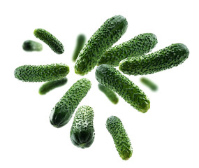 Green cucumbers levitate on a white background