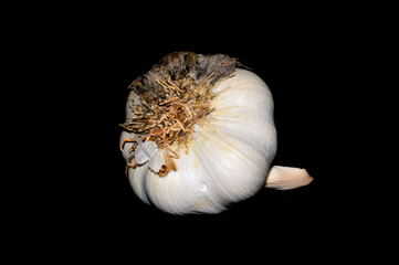 garlic isolated on black background