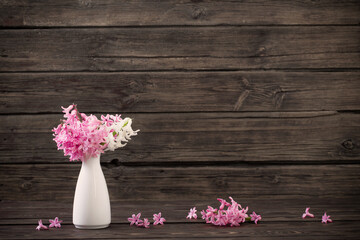 hyacinth in white vase on dark old wooden background
